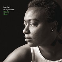 Me'Shell Ndegeocello – Devil's Halo