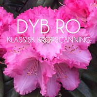 Dyb Ro – Klassisk Kropscanning