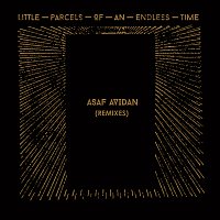 Přední strana obalu CD Little Parcels Of An Endless Time Remixes