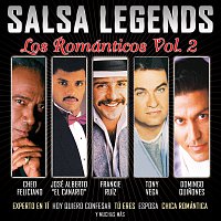 Různí interpreti – Salsa Legends [Los Románticos Vol.2]