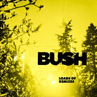 Bush, Fever 333 – Everything Zen [Jason Aalon Butler Remix]