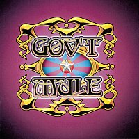 Gov't Mule – Live...With A Little Help From Our Friends