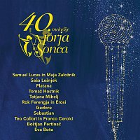 Různí interpreti – 40. melodije morja in sonca