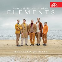 Přední strana obalu CD Elements / Nielsen - Hindemith - Barber - Tomasi - Pärt