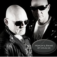 Hemlin, Brink – Det sista du ser