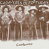 Cadaveres De Tortugas – Castaway