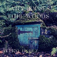 Aleko Nunez – Fairy Houses in the Woods