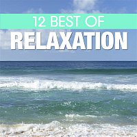 Various Artists.. – 12 Best of Relaxation