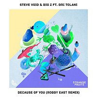 Steve Void & Big-Z – Because Of You (Robby East Remix)
