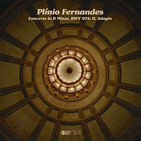 Plínio Fernandes – Concerto in D Minor, BWV 974: II. Adagio (Transc. for Guitar by Sérgio Assad)