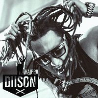 Diison – Haippii