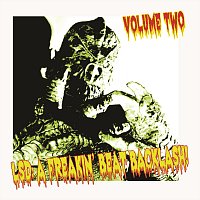 Přední strana obalu CD Lsd: A Freakin’ Beat Backlash! Volume Two