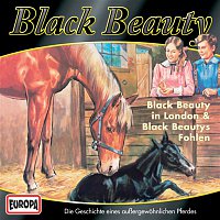 03/Black Beauty in London/Black Beautys Fohlen