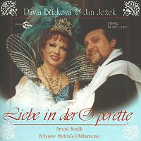 Pavla Břínková, Jan Ježek – Liebe in der Operette CD