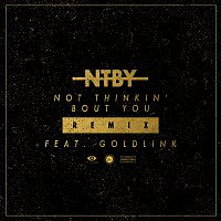 Ruel, GoldLink – Not Thinkin' Bout You (Remix)