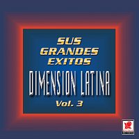 Dimension Latina – Sus Grandes Éxitos, Vol. 3