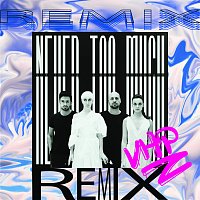 Never Too Much [Remixes]