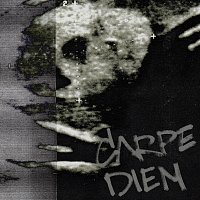 STED.D – CARPE DIEM