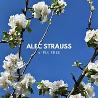 Přední strana obalu CD Apple Tree