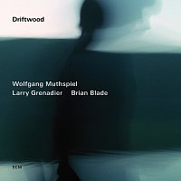 Wolfgang Muthspiel, Larry Grenadier, Brian Blade – Driftwood