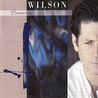 Přední strana obalu CD Brian Wilson