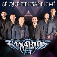 Los Canarios De Michoacán – Sé Que Piensas En Mí
