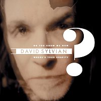 David Sylvian – Do You Know Me Now?
