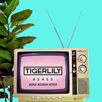 Tigerlily – Ashes [Noah Neiman Remix]