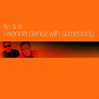 Flip & Fill – I Wanna Dance With Somebody