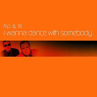 I Wanna Dance With Somebody