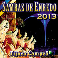Přední strana obalu CD Sambas De Enredo Das Escolas De Samba - 2013