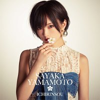 Sayaka Yamamoto – Ichirinsou