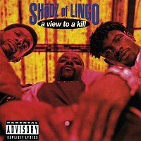 Shadz Of Lingo – A View To A Kill