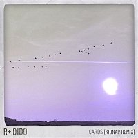 R Plus & Dido – Cards (Kidnap Remix)