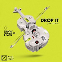 Dubdogz, Mariana BO, Flakke – Drop It (feat. LUISAH)