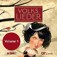 Různí interpreti – Volkslieder (LIEDERPROJEKT) [Vol. 1]