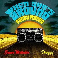 Bruce Melodie, Shaggy – When She's Around (Funga Macho) Remixes