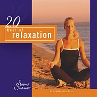 Přední strana obalu CD 20 Best of Relaxation