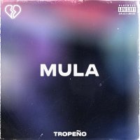 Přední strana obalu CD Mula