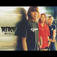 Bleach – Hadaka No Jyoou