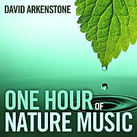 David Arkenstone – One Hour Of Nature Music: For Massage, Yoga And Relaxation
