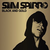 Přední strana obalu CD Black & Gold [Acoustic Version]