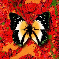 Ed Sheeran – 2step (feat. Armaan Malik)