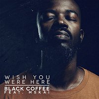 Black Coffee, Msaki – Wish You Were Here