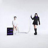 Pam Rabbit – I LOVE THE INTERNET [DELUXE]