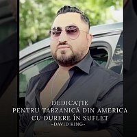 Fratii Turcitu, David King – Dedicaţie pentru Tarzanică din America cu durere in suflet