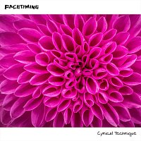 Cynical Technique – Facetiming