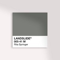 Rita Springer – Landslide