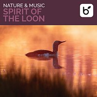 Brian Hardin – Nature & Music: Spirit Of The Loon