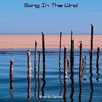 Mixed-Up Captives – Song in the Wind